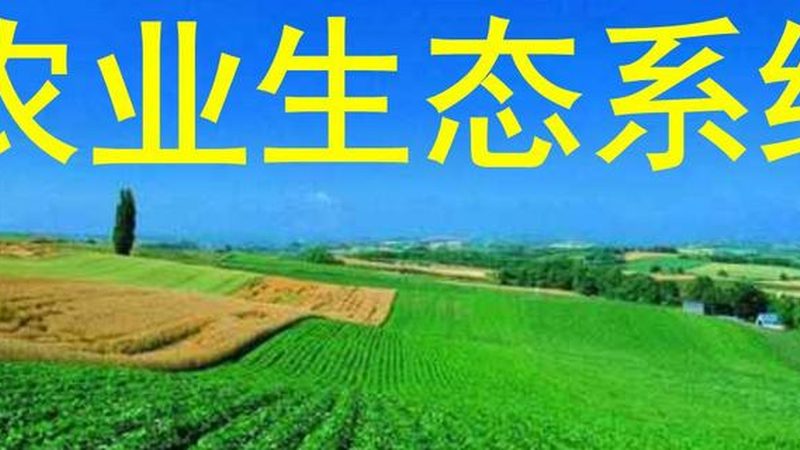 绿色食品认证，小企业如何顺利通关？**
