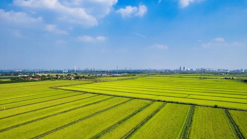 家庭农场农机代理加盟，如何规避潜在风险**