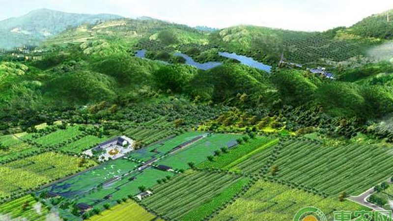 山东农业合作社崛起：探寻实力强的关键因素**