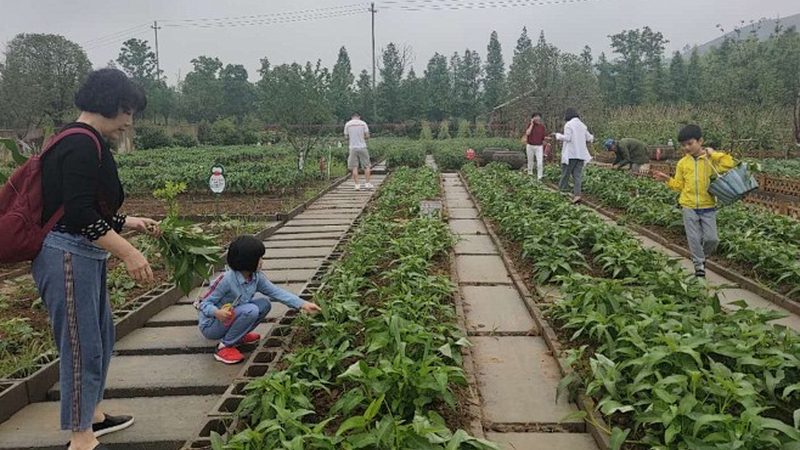 农业种植机械型号对比：如何选择最适合的设备