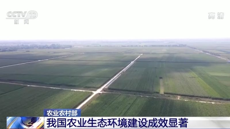 北京农产品批发质量安全标准：守护“舌尖上的安全
