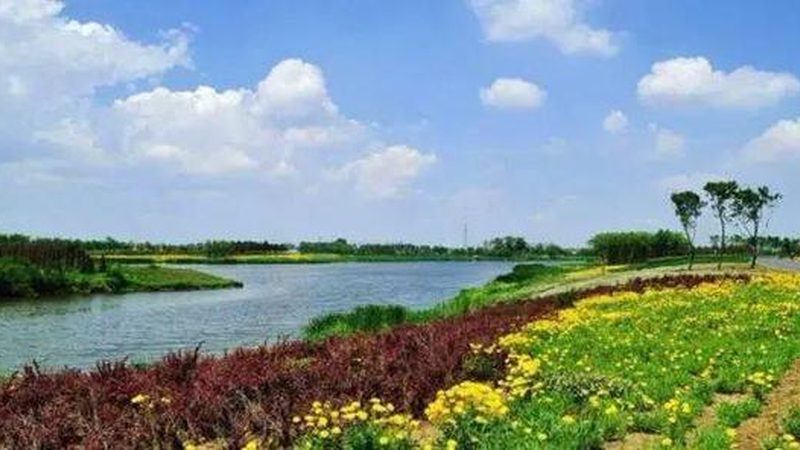 农家乐设计：家庭农场如何打造个性化休闲体验**