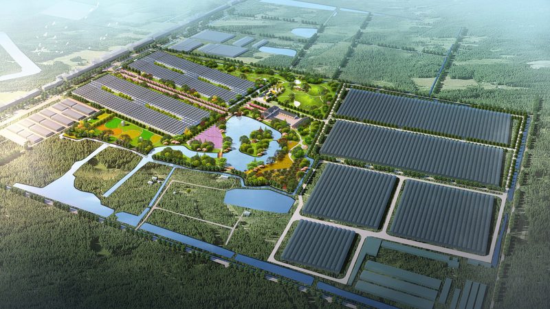 农民专业合作社代理记账公司排名