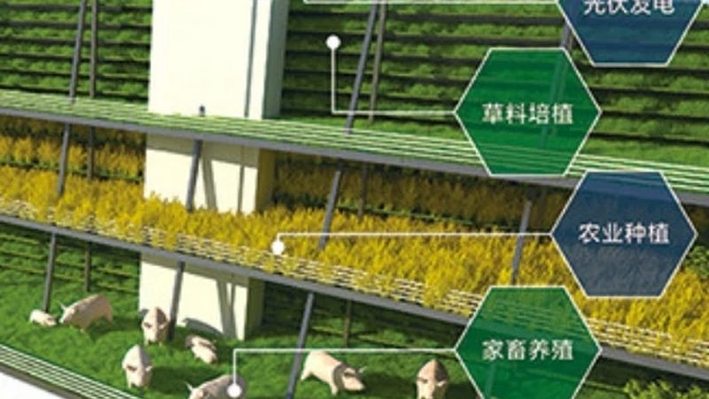 反季节水果补贴政策：助力农业发展新动力**