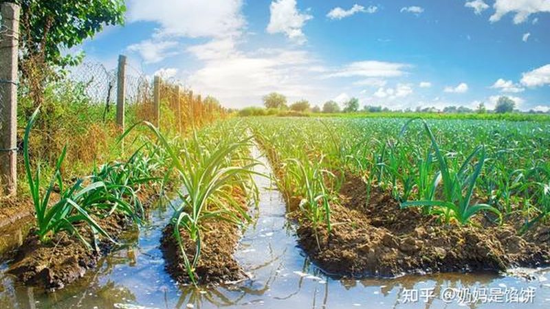 农民专业合作社加盟，这些条件与流程你了解吗？**