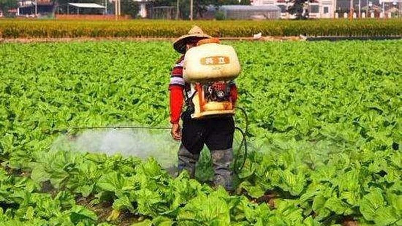 绿色食品认证标识：收费标准背后的考量