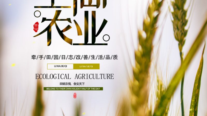 温室大棚加盟代理，如何选择合适项目？**